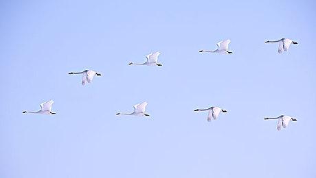 《通灵战士 幽灵舰队与消失的英雄》繁体中文版将于7月24日上市！